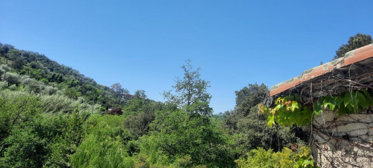 Apartmán Vecchio Mulino Fontona Girasole Chiesanuova  Exteriér fotografie