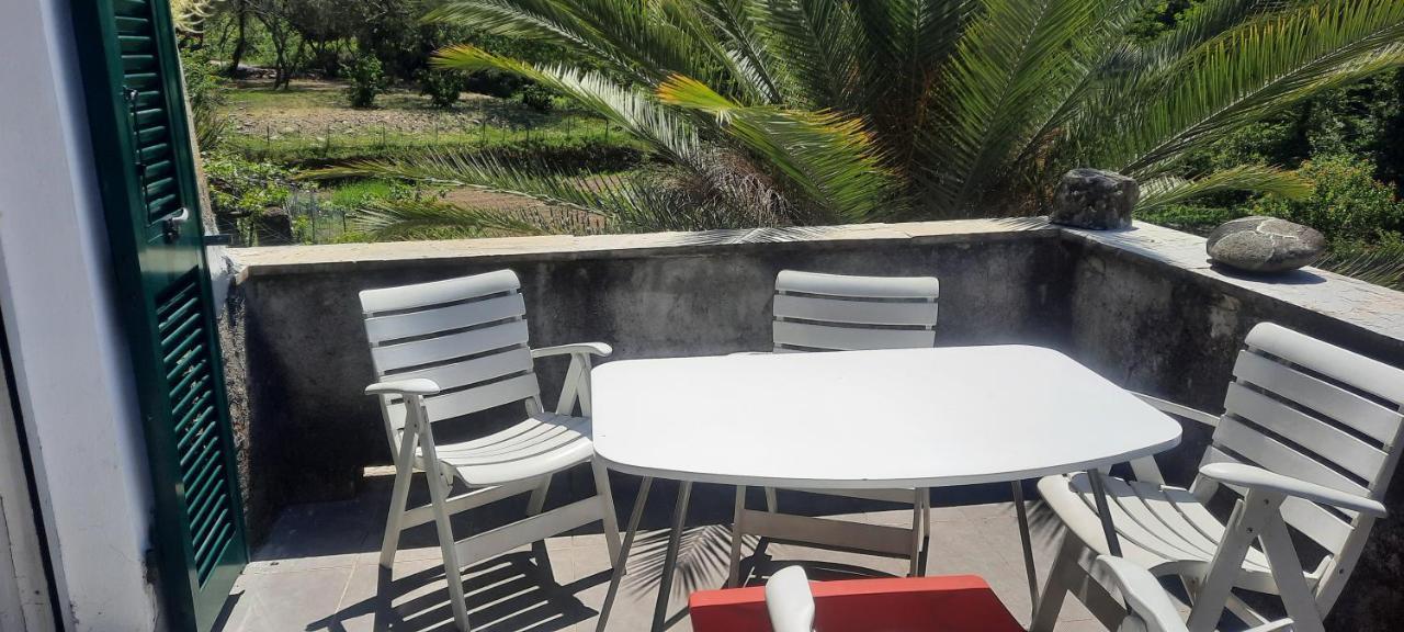 Apartmán Vecchio Mulino Fontona Girasole Chiesanuova  Exteriér fotografie