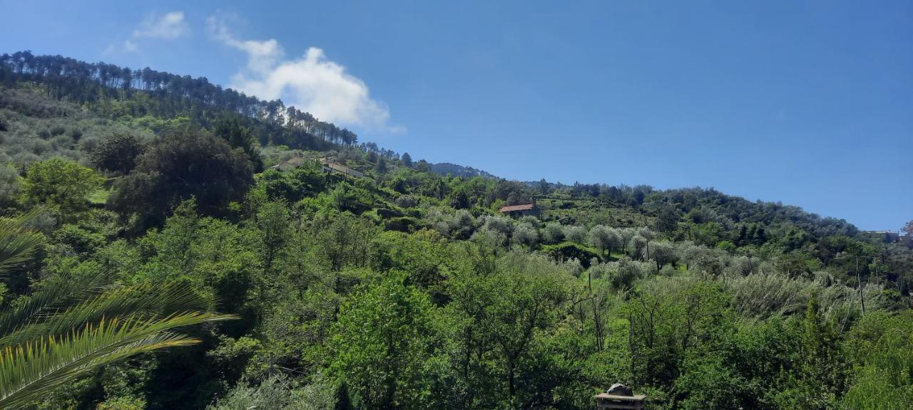 Apartmán Vecchio Mulino Fontona Girasole Chiesanuova  Exteriér fotografie
