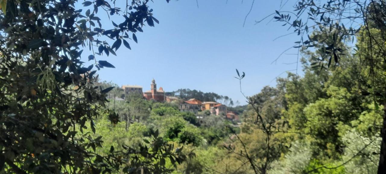 Apartmán Vecchio Mulino Fontona Girasole Chiesanuova  Exteriér fotografie