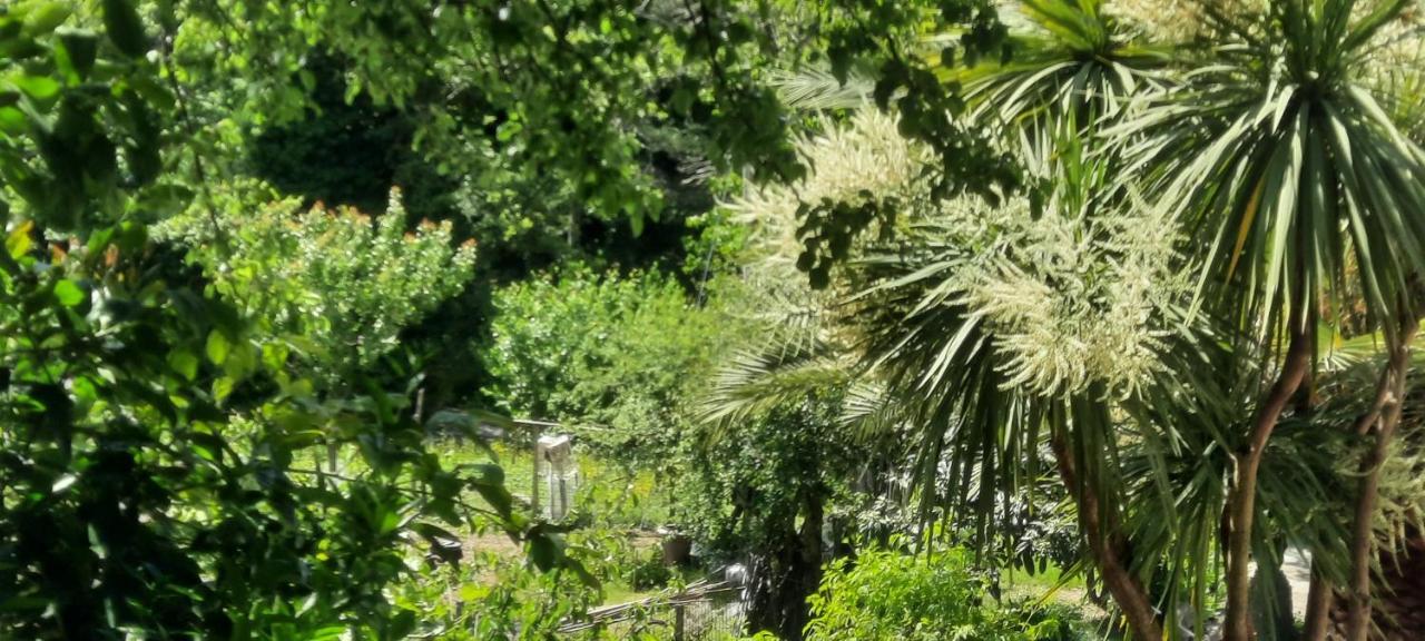 Apartmán Vecchio Mulino Fontona Girasole Chiesanuova  Exteriér fotografie